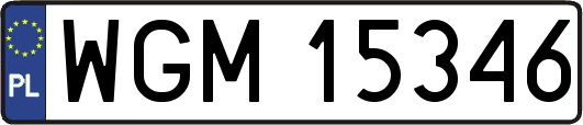 WGM15346