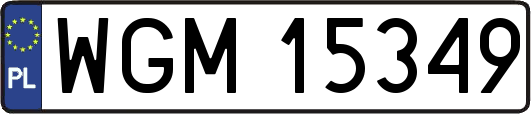 WGM15349