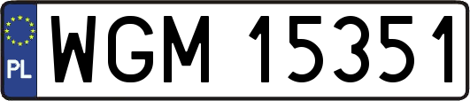 WGM15351