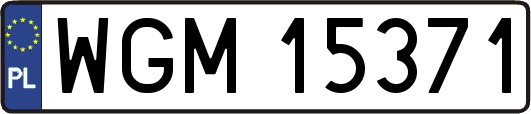 WGM15371