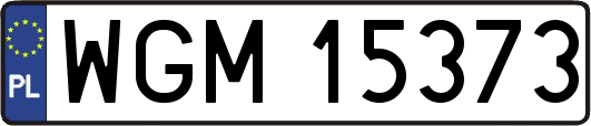 WGM15373