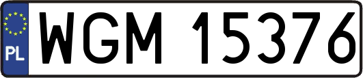 WGM15376