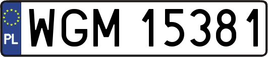 WGM15381