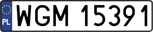 WGM15391