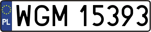 WGM15393
