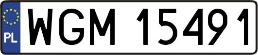 WGM15491
