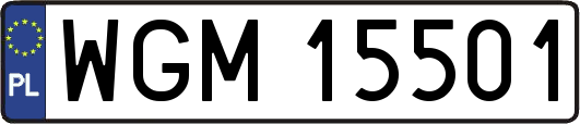 WGM15501