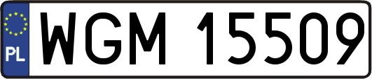 WGM15509