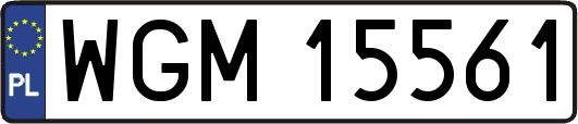 WGM15561