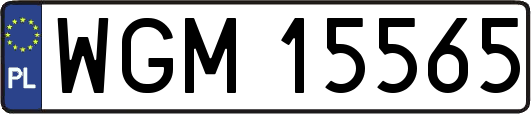 WGM15565