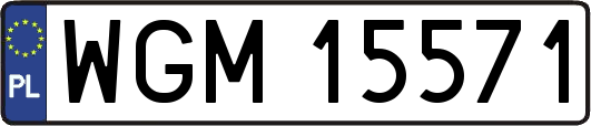 WGM15571