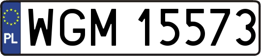 WGM15573