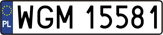 WGM15581