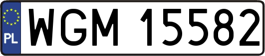 WGM15582