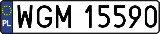 WGM15590