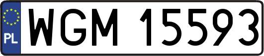 WGM15593