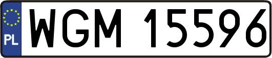 WGM15596