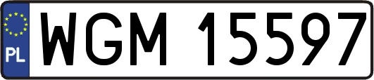 WGM15597