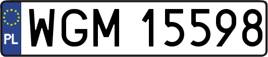 WGM15598