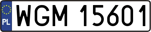 WGM15601