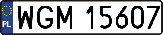 WGM15607