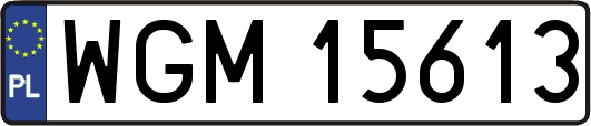 WGM15613