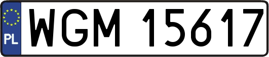WGM15617