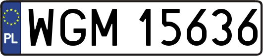 WGM15636