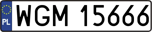 WGM15666