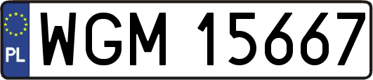 WGM15667