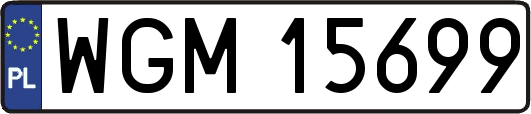 WGM15699