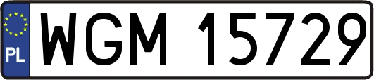 WGM15729