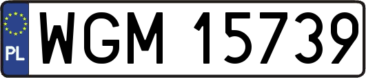 WGM15739