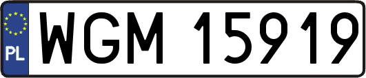WGM15919