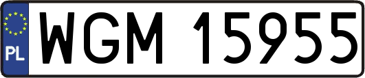 WGM15955