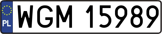 WGM15989