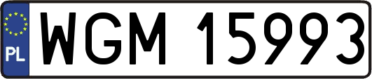 WGM15993