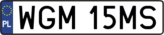 WGM15MS
