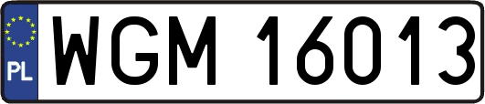 WGM16013