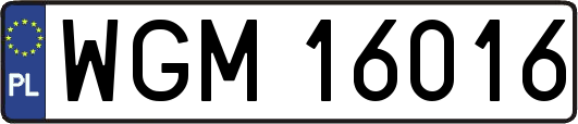 WGM16016