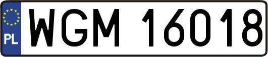WGM16018