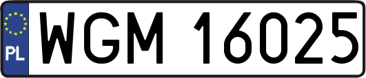WGM16025
