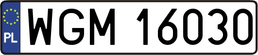 WGM16030