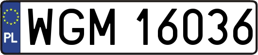 WGM16036