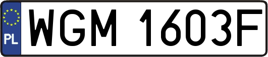 WGM1603F
