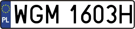 WGM1603H