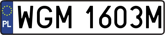 WGM1603M