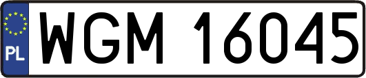 WGM16045