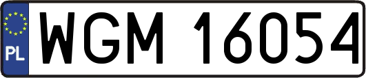WGM16054