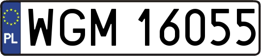 WGM16055